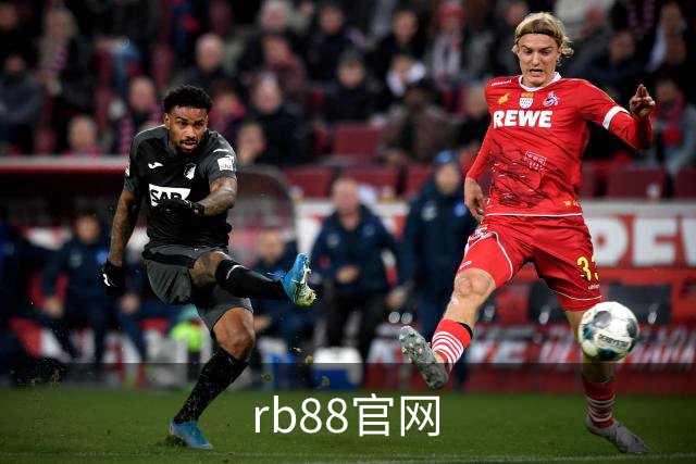 rb88官网公司介绍图